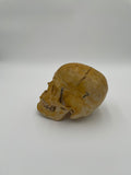 A Vintage Real Human Dissected Skull 566
