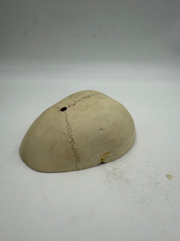 A Real Human Skull Cap 3