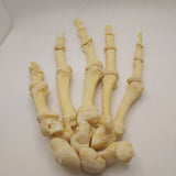 Real Human Left Hand 107