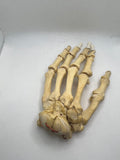 Real Human Left Hand 103