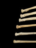Set Of 6 Medically Lightened Human Radius Bones