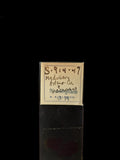 25 Count Human Tissue Antique Medical Slides In Box