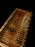 25 Count Human Tissue Antique Medical Slides In Box